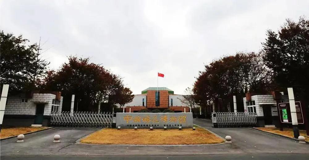 巖星特刊 | 在熱點(diǎn)之后，我們來看看這一座博物館插圖(1)