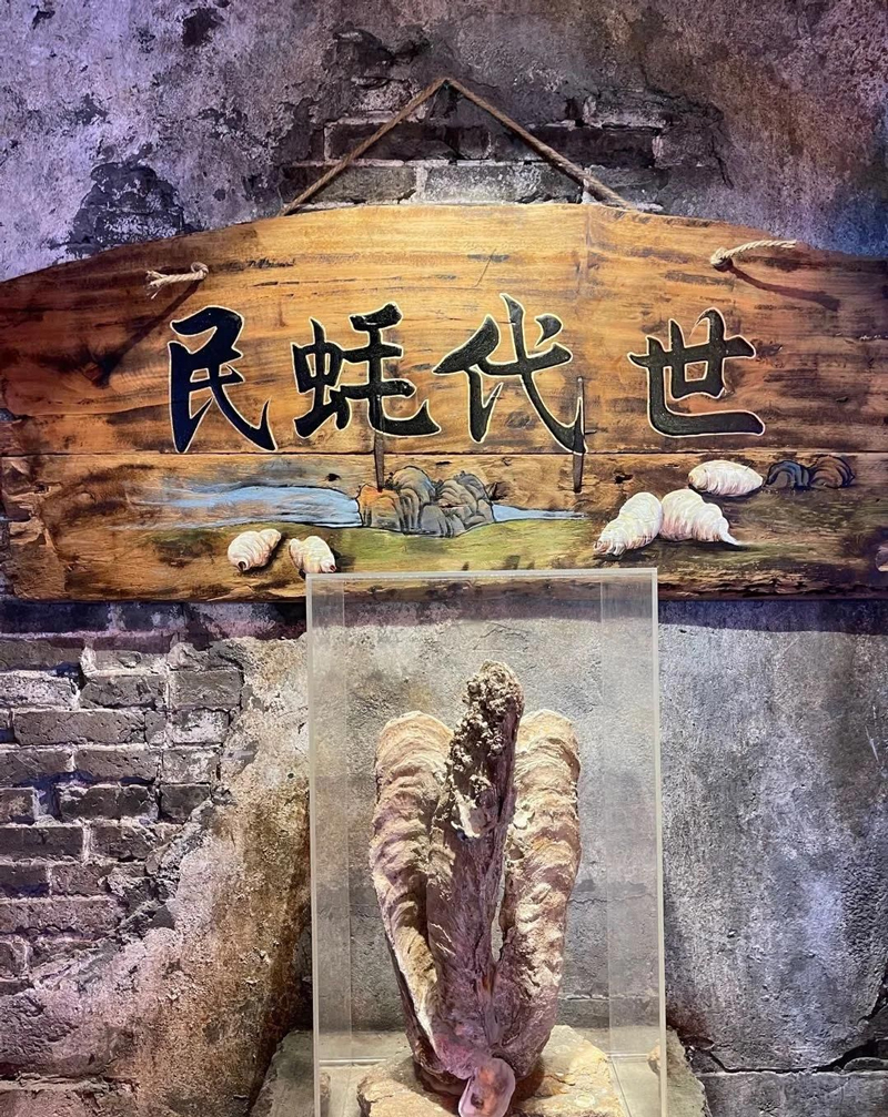巖星特刊 ｜深圳超級文和友，“城市博物館”的擴張之路插圖(4)